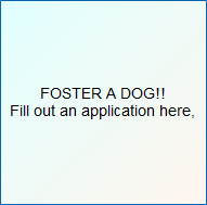 Foster Application